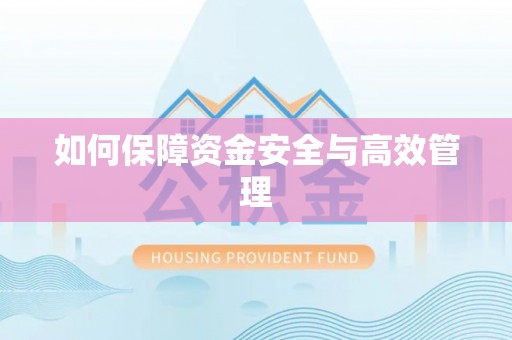 贺兰如何保障资金安全与高效管理