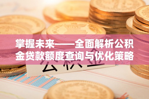 贺兰掌握未来——全面解析公积金贷款额度查询与优化策略