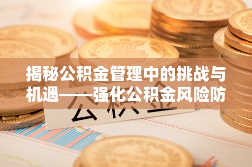 贺兰揭秘公积金管理中的挑战与机遇——强化公积金风险防控的多维策略