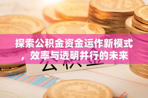 贺兰探索公积金资金运作新模式，效率与透明并行的未来