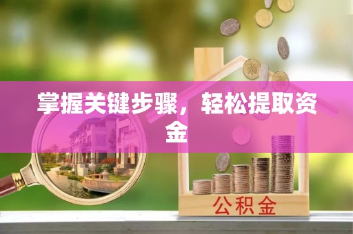 贺兰掌握关键步骤，轻松提取资金