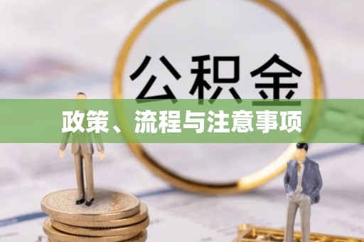 贺兰政策、流程与注意事项