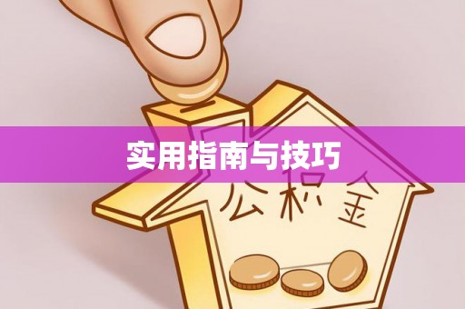 贺兰实用指南与技巧