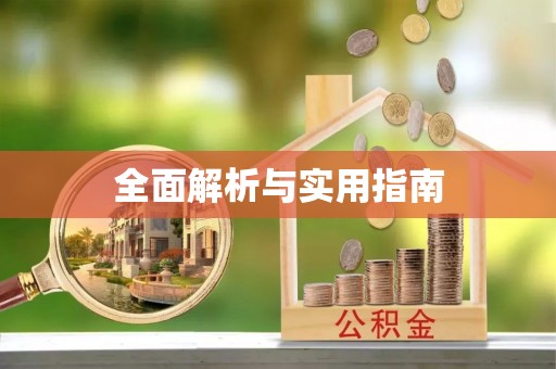 贺兰全面解析与实用指南