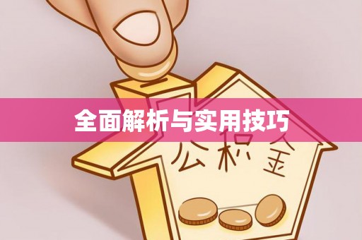 贺兰全面解析与实用技巧