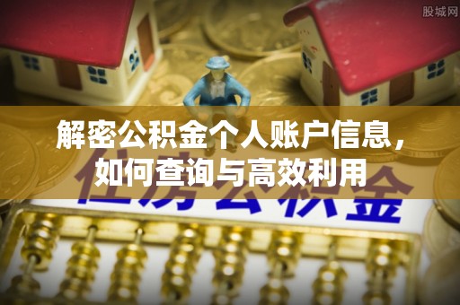 贺兰解密公积金个人账户信息，如何查询与高效利用