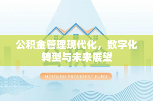 贺兰公积金管理现代化，数字化转型与未来展望