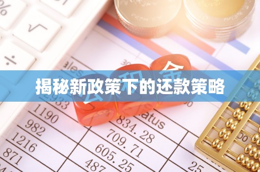 贺兰揭秘新政策下的还款策略