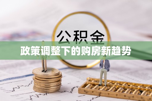 贺兰政策调整下的购房新趋势