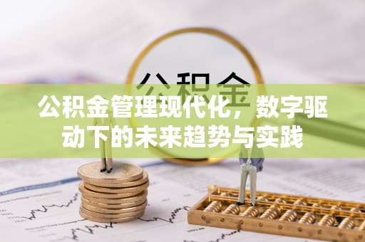 贺兰公积金管理现代化，数字驱动下的未来趋势与实践