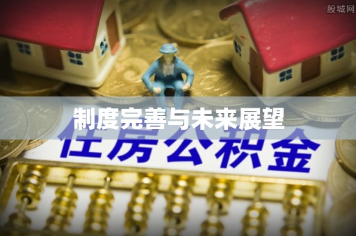 贺兰制度完善与未来展望