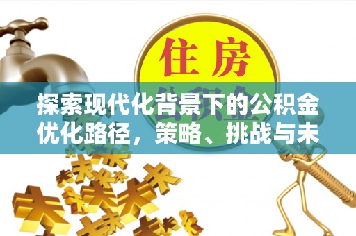 贺兰探索现代化背景下的公积金优化路径，策略、挑战与未来展望
