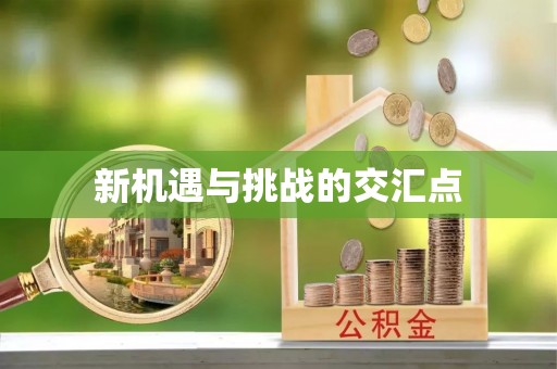 贺兰新机遇与挑战的交汇点
