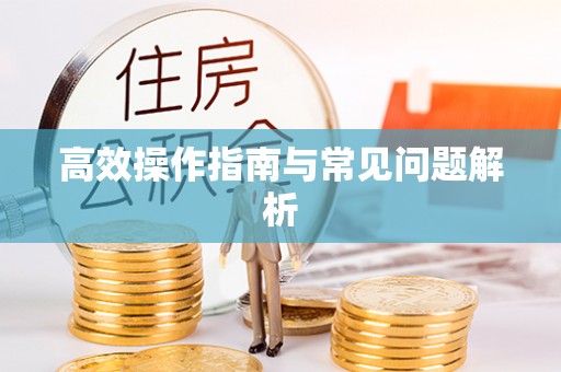 贺兰高效操作指南与常见问题解析