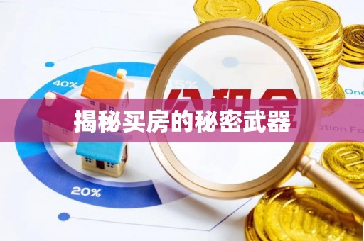 贺兰揭秘买房的秘密武器