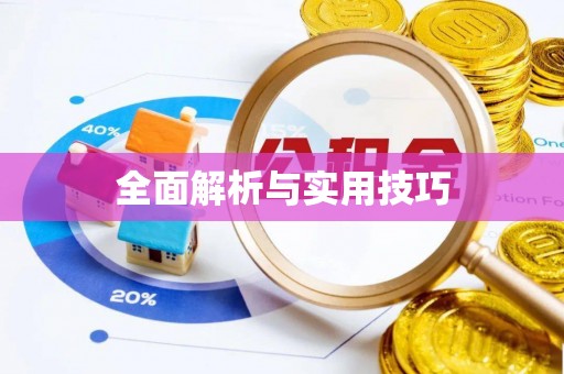 贺兰全面解析与实用技巧