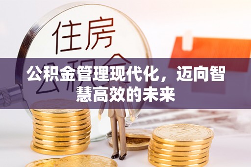 贺兰公积金管理现代化，迈向智慧高效的未来