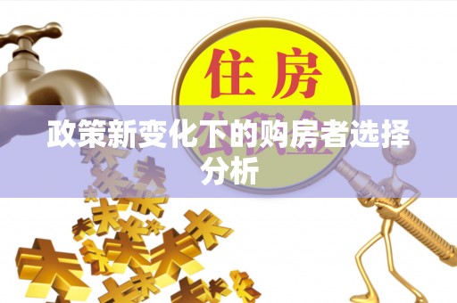 贺兰政策新变化下的购房者选择分析