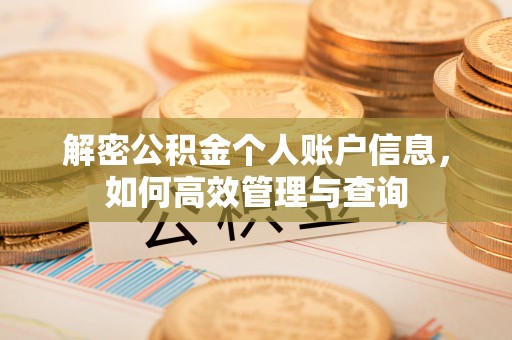 贺兰解密公积金个人账户信息，如何高效管理与查询