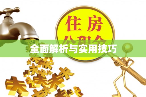 贺兰全面解析与实用技巧
