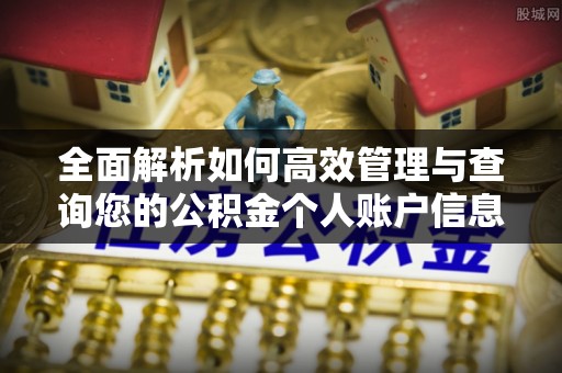 贺兰全面解析如何高效管理与查询您的公积金个人账户信息