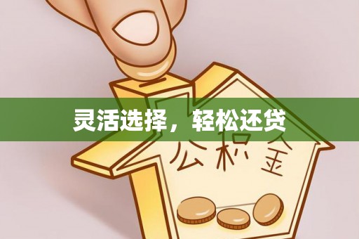 贺兰灵活选择，轻松还贷