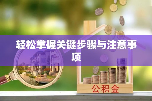 贺兰轻松掌握关键步骤与注意事项
