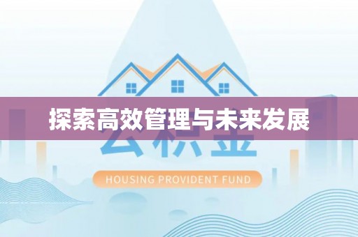 贺兰探索高效管理与未来发展