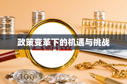 贺兰政策变革下的机遇与挑战
