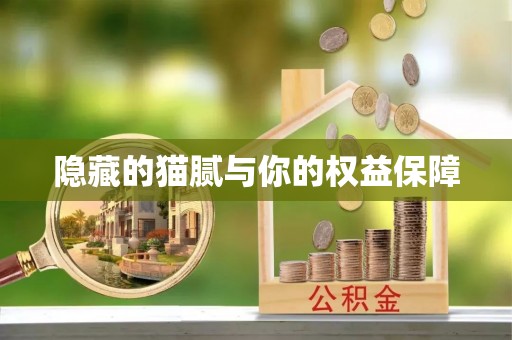 贺兰隐藏的猫腻与你的权益保障