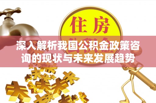 贺兰深入解析我国公积金政策咨询的现状与未来发展趋势