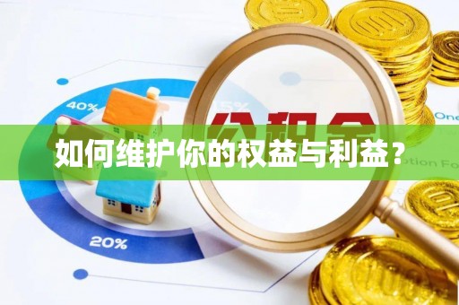 贺兰如何维护你的权益与利益？