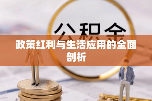 贺兰政策红利与生活应用的全面剖析