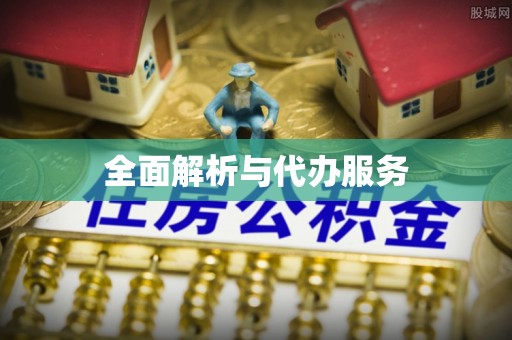 贺兰全面解析与代办服务