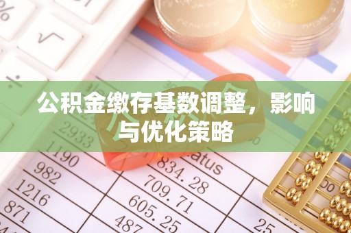 贺兰公积金缴存基数调整，影响与优化策略