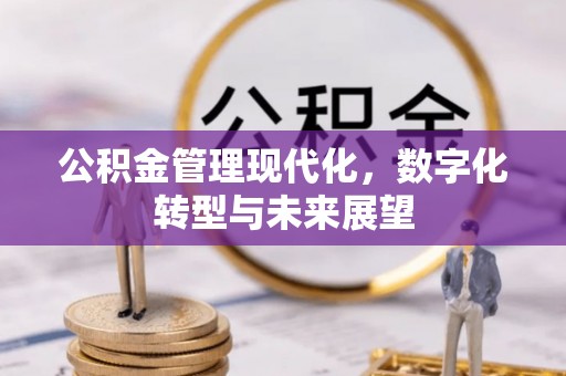 贺兰公积金管理现代化，数字化转型与未来展望