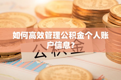 贺兰如何高效管理公积金个人账户信息？