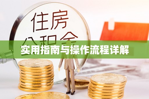 贺兰实用指南与操作流程详解