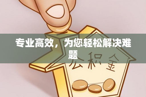 贺兰专业高效，为您轻松解决难题