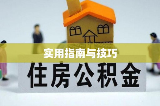 贺兰实用指南与技巧