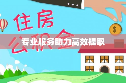 贺兰专业服务助力高效提取