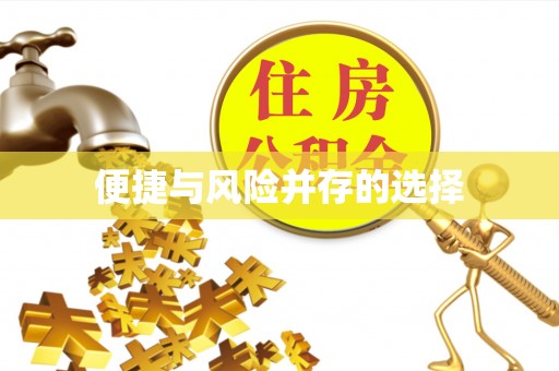 贺兰便捷与风险并存的选择